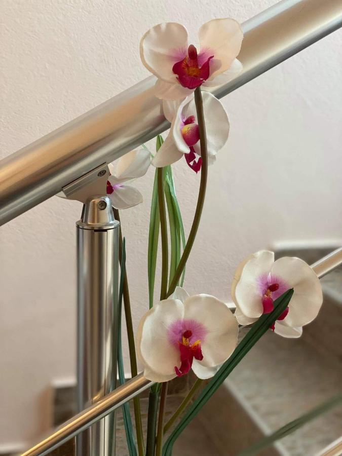 Guest House Kostovi Китен Экстерьер фото